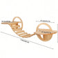 Wall-Mounted Cat Climbing Shelves with Hammock & Scratching Post