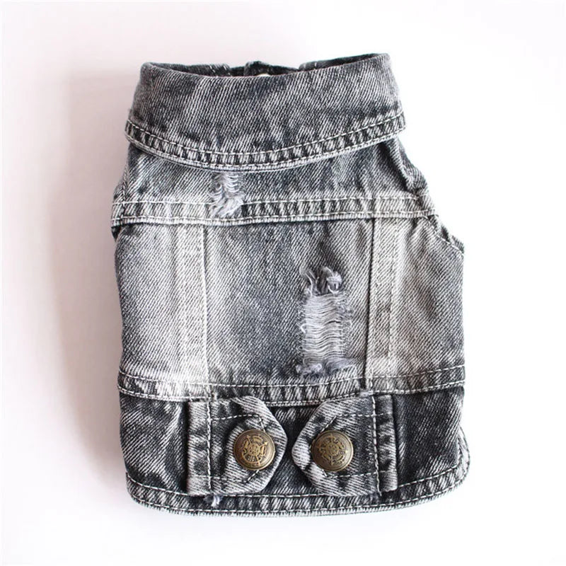 Cool Denim Dog Jacket for Small & Medium Dogs