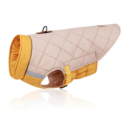 Winter French Bulldog Puppy Coat