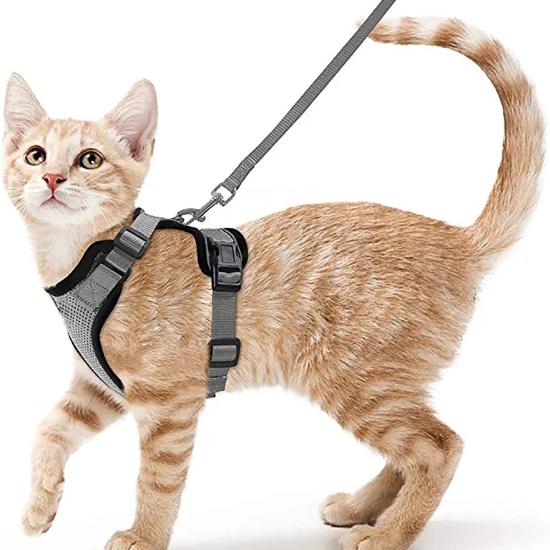 Adjustable Cat Harness & Leash