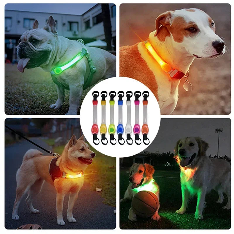 Waterproof LED Anti-Lost Dog Collar