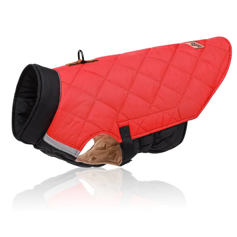Winter French Bulldog Puppy Coat