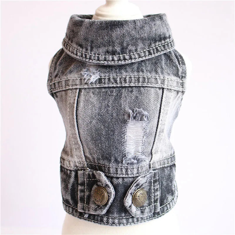 Cool Denim Dog Jacket for Small & Medium Dogs