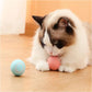 Smart Interactive Pet Toy Ball