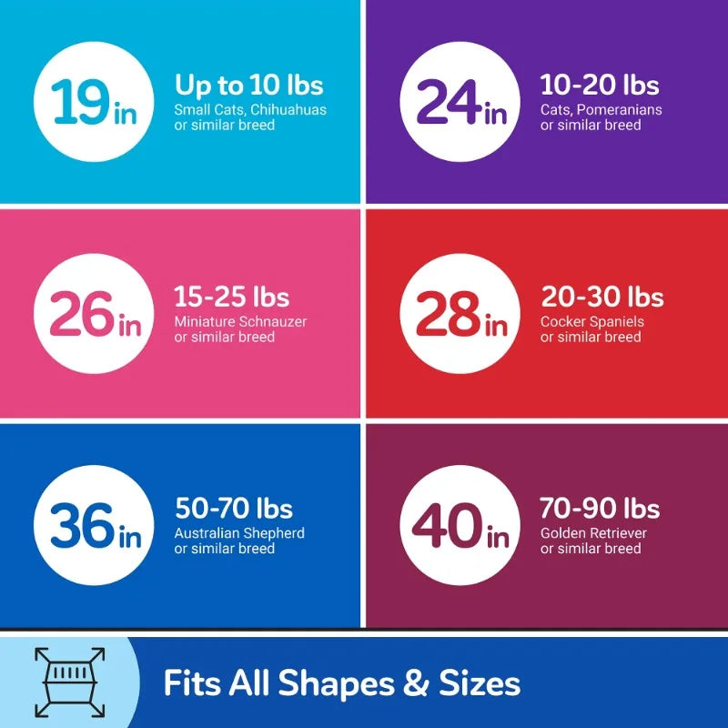 Petmate Two-Door Pet Carrier