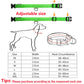 USB Rechargeable LED Glowing Pet Collar