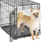 Dog Crate with Divider Panel