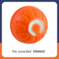 Smart Dog Toy Bal