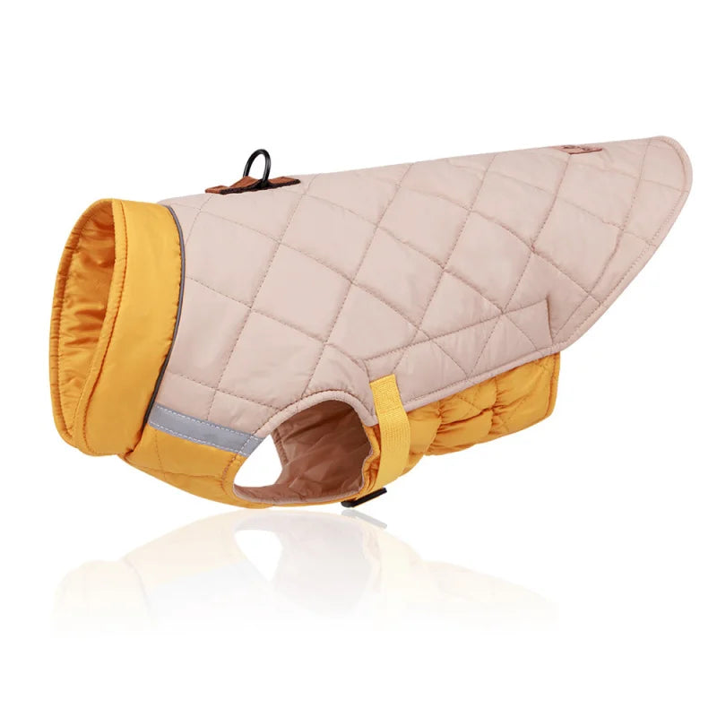 Winter French Bulldog Puppy Coat
