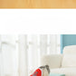 Pet Ramp Stairs with Washable Cover