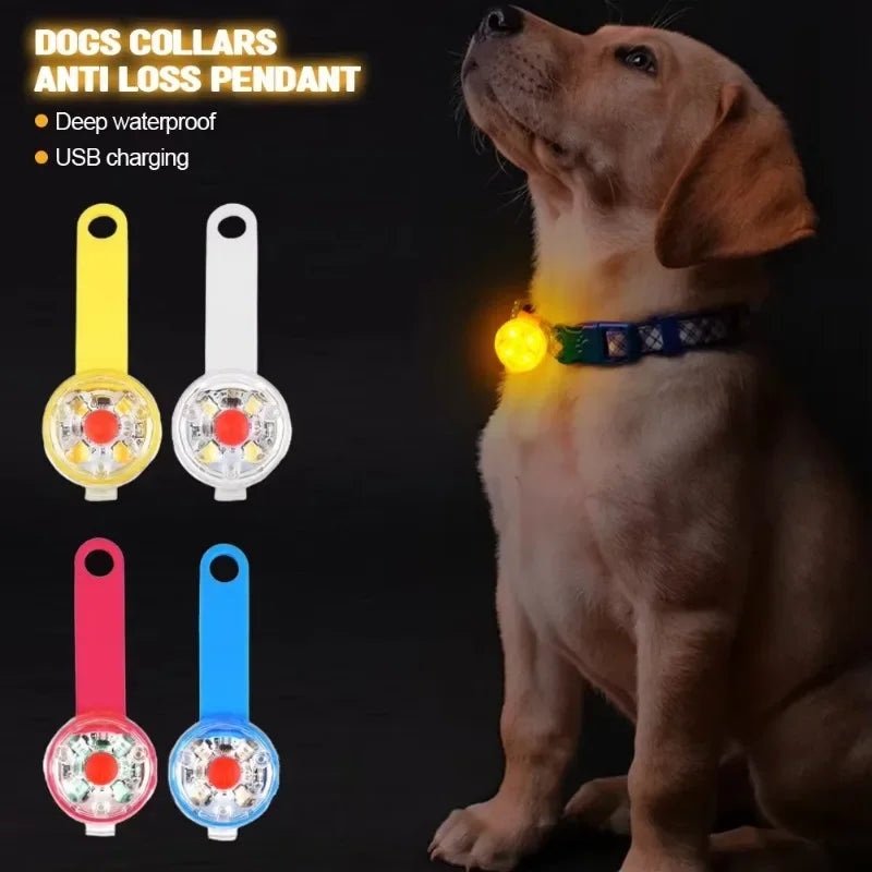 Weatherproof USB Rechargeable LED Pet Collar