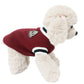 V-Neck Knit Dog Sweater