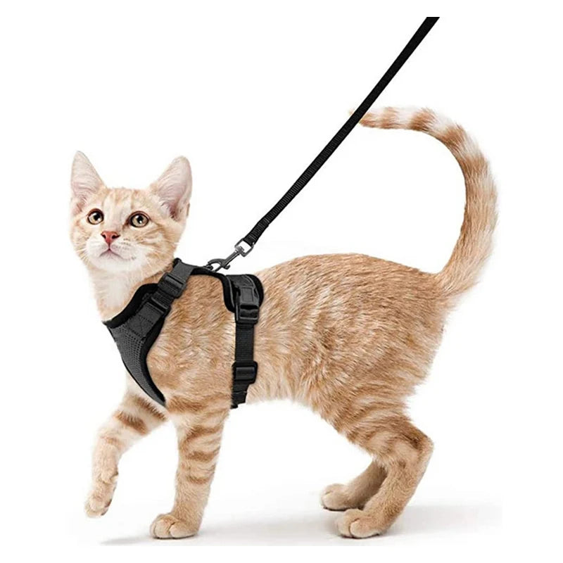 Adjustable Cat Harness & Leash