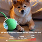 Automatic Rolling Interactive Dog Ball