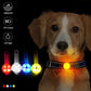 Weatherproof USB Rechargeable LED Pet Collar