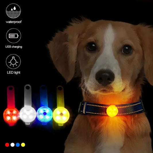 Weatherproof USB Rechargeable LED Pet Collar