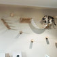 Wall-Mounted Cat Climbing Shelves with Hammock & Scratching Post