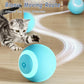 Smart Interactive Pet Toy Ball