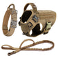 Large Dog Harness & Leash Set