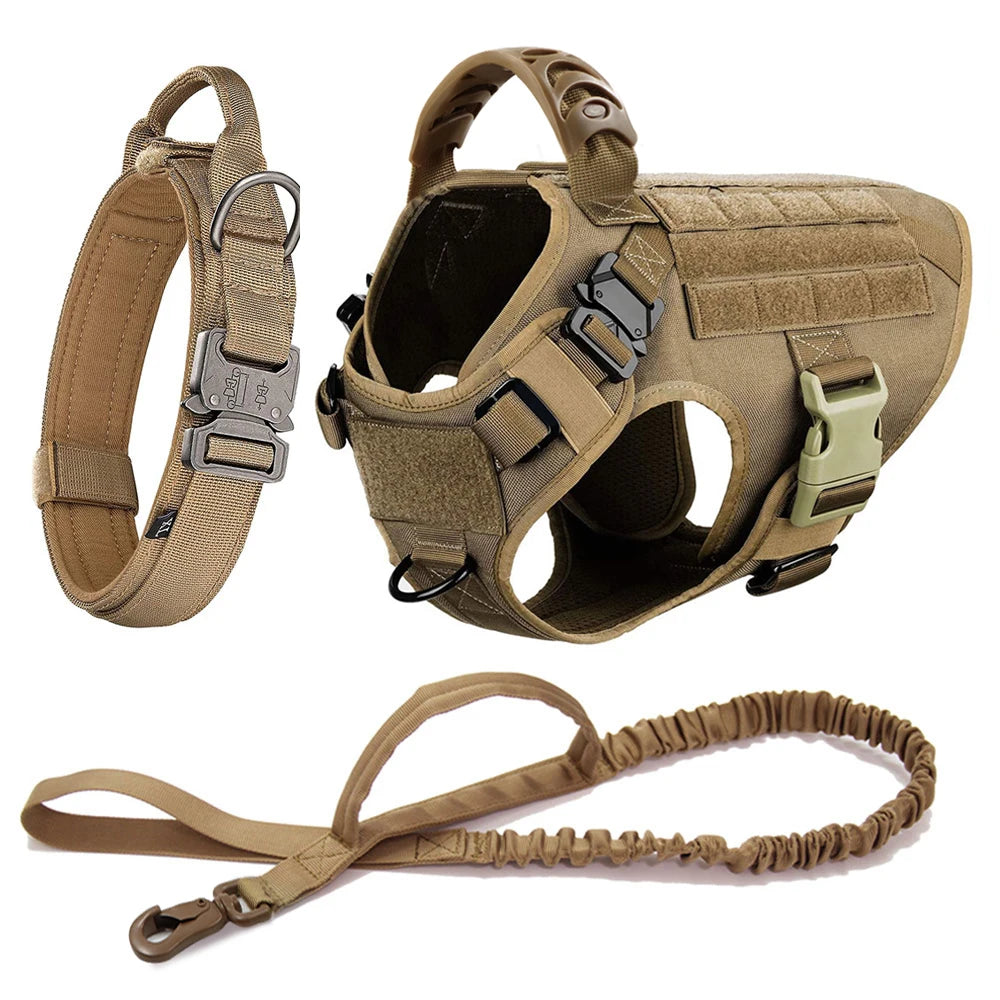 Large Dog Harness & Leash Set
