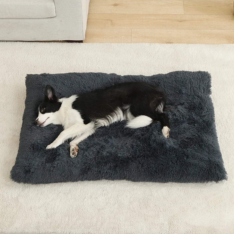 Soft Dog & Cat Bed