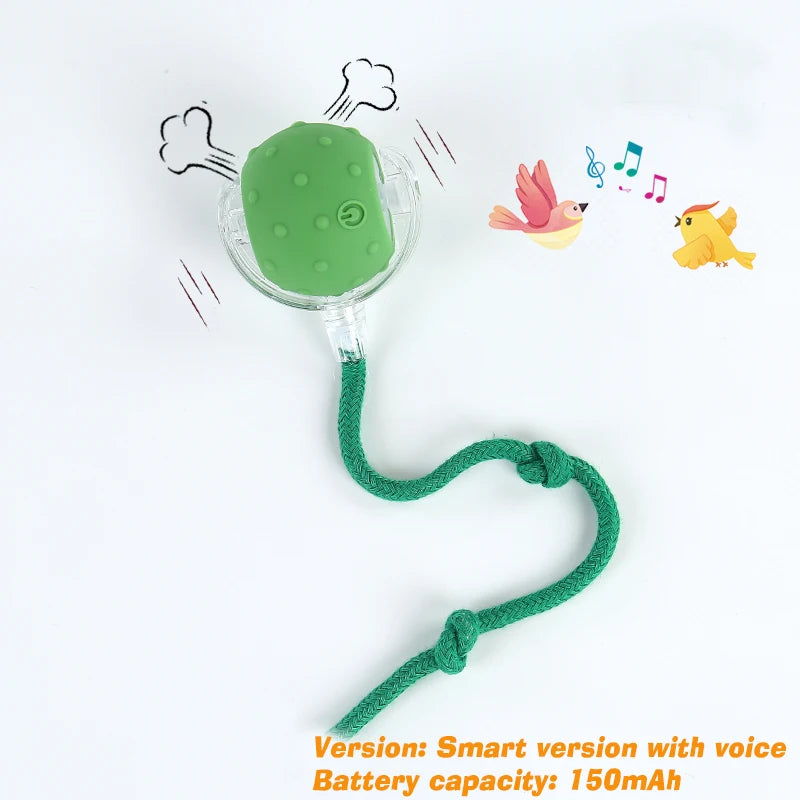 Automatic Rolling Interactive Dog Ball