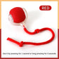Smart Interactive Pet Toy Ball