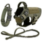 Large Dog Harness & Leash Set