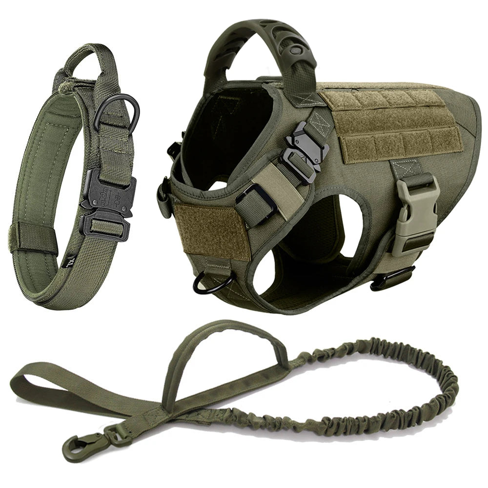 Large Dog Harness & Leash Set