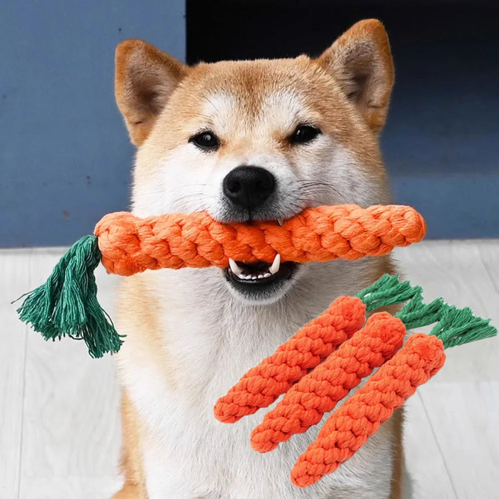 Carrot Dog Bite Rope Toy